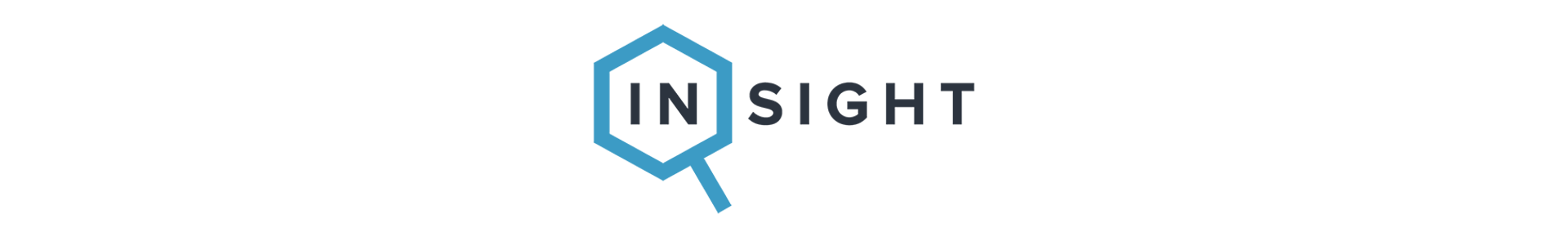 insight logo
